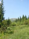 Вітя Гол фотография #22 (источник - https://vk.com/id38870475)