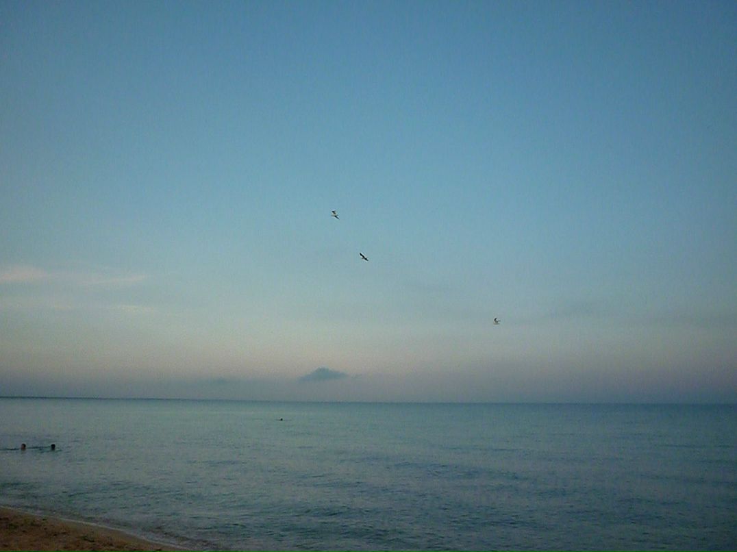 Анна Халашевска фотография #29