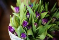 Віка Шум фотография #31 (источник - https://vk.com/id143303073)