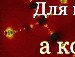 Ірина Антощук фотография #23 (источник - https://vk.com/id155072905)