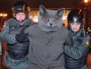 Марія Пашко фотография #21 (источник - https://vk.com/id161398969)