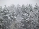 Іра Шелест(Коляско) фотография #15 (источник - https://vk.com/id25355412)