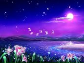 Фотография Гайнуллиной Минзали