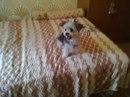 Оля Стефанів фотография #4 (источник - https://vk.com/id147113063)