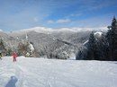 Вікторія Сенишин фотография #30 (источник - https://vk.com/id11939861)