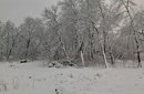 Дмитро Гурін фотография #11 (источник - https://vk.com/id134871845)
