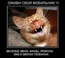 Міша Розумний фотография #49 (источник - https://vk.com/id162477629)