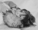Фотография Марковой Алены