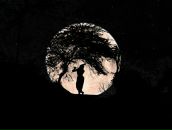 Фотография Gordeev Bodhisattva