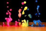 Владислав Томік фотография #1