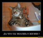 Віталій Кравченко фотография #38 (источник - https://vk.com/id237535359)