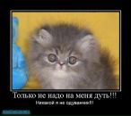 Анжеліка Костишак фотография #23 (источник - https://vk.com/id51598167)