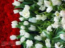 Наталія Попович фотография #14 (источник - https://vk.com/id165521903)