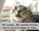 Віка Бугай фотография #38 (источник - https://vk.com/id148151365)