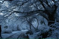 Фотография Акимовой Ксении