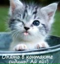 Вітя Тишкевич фотография #37 (источник - https://vk.com/id124334333)