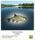 Віктор Камлук фотография #9 (источник - https://vk.com/id162080953)