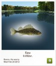 Діма Чейпеш фотография #42 (источник - https://vk.com/id160940576)