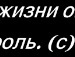 ♥ляля Мармеладова♥ фотография #31 (источник - https://vk.com/id147252785)