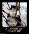 Богдан Корнійчук фотография #2 (источник - https://vk.com/id146885508)