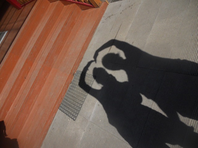 Erdem Sameev фотография #19