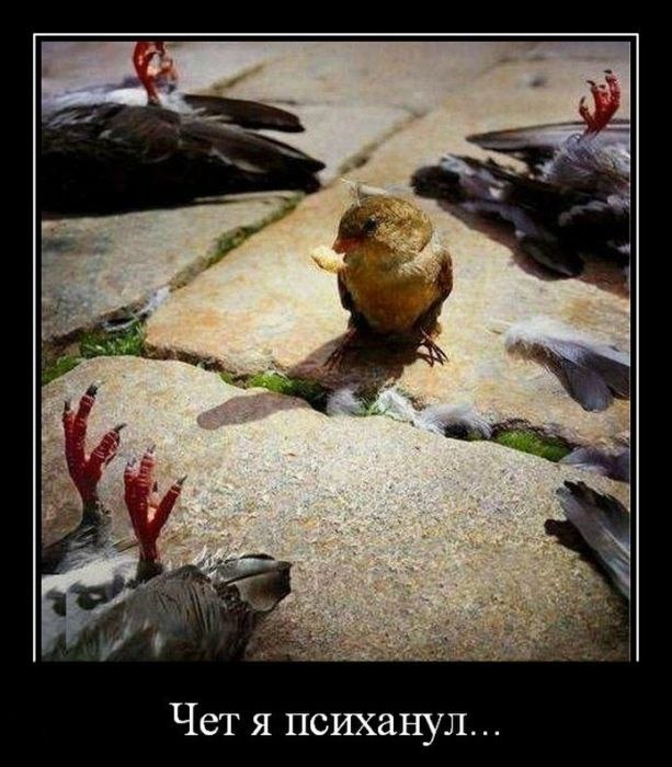 Тимур Гимбатов фотография #3