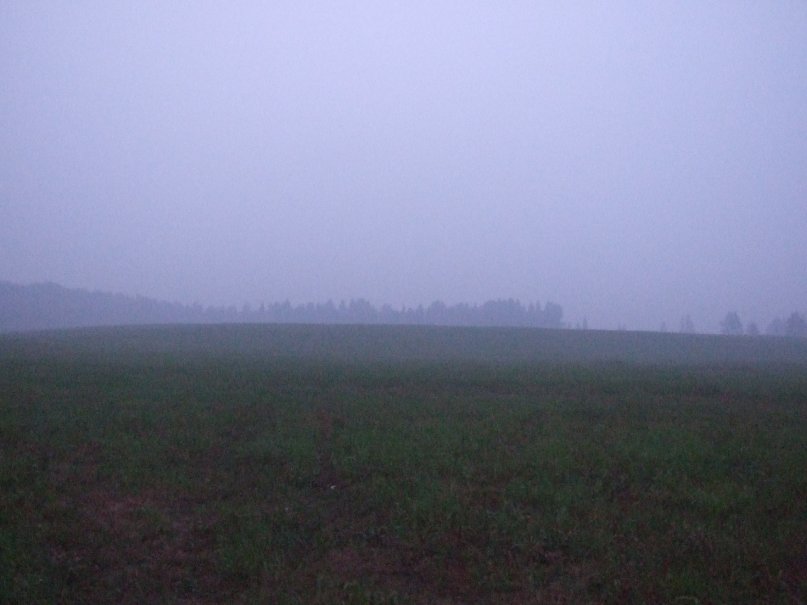 Дмитрий Чихачёв фотография #30