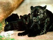 Фотография Гуртий Оксаны