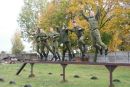 Фотография Кохновича Александра