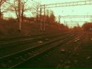 Попіл Троянди фотография #25 (источник - https://vk.com/id143507065)