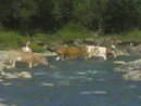 Роман Демків фотография #10 (источник - https://vk.com/id36489356)