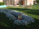 Утюсічка Сонечко фотография #20 (источник - https://vk.com/id33208820)
