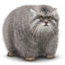 Дмитрий Иванов фотография #19 (источник - https://vk.com/id35666334)