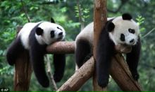 Фотография Гончарова Алла