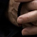 Алексей Антоненко фотография #19 (источник - https://vk.com/id11280778)