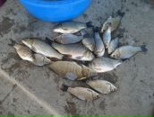 Віталік Скриник фотография #46 (источник - https://vk.com/id9934039)