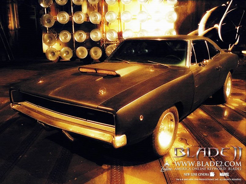 Николай Матросов фотография #10