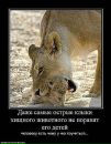 Іруся Бородій фотография #14 (источник - https://vk.com/id16468654)