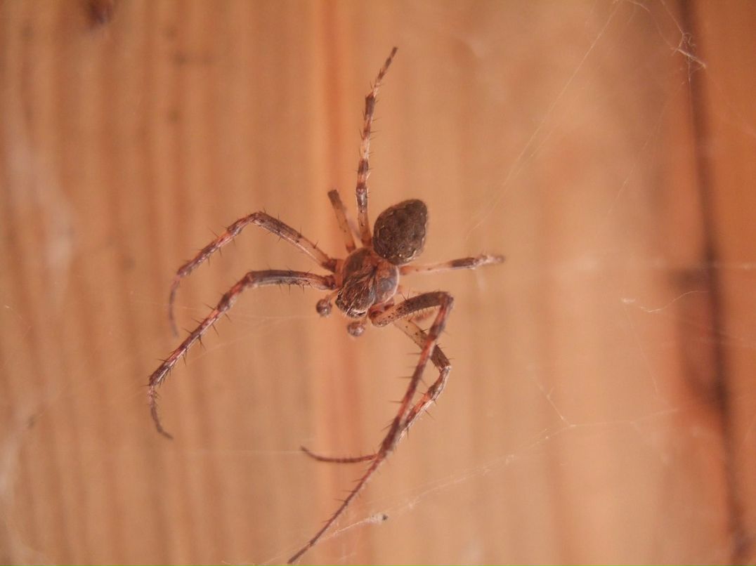 Дмитрий Милеев фотография #26