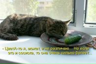 Фотография Гольдиной Катерины