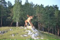 Константин Басалаев фотография #31 (источник - https://vk.com/id257097)