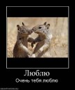 Фотография Карачевой-Жульковой Екатерины