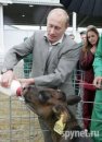 Dmitry Medvedev фотография #1