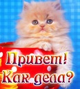 Світлана Чубей фотография #19 (источник - https://vk.com/id108588405)
