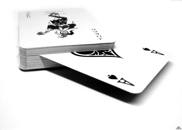 Дмитрий Гуляев фотография #39