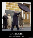 Татьяна Дилмач фотография #33 (источник - https://vk.com/id7997677)
