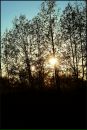 Александр Шевцов фотография #19 (источник - https://vk.com/id2450488)