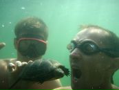 Фотография Башкирова Сергея