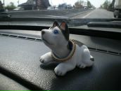 Фотография Полировщикова Дмитрия