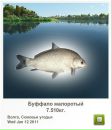 Андрій Жадан фотография #10 (источник - https://vk.com/id24173571)